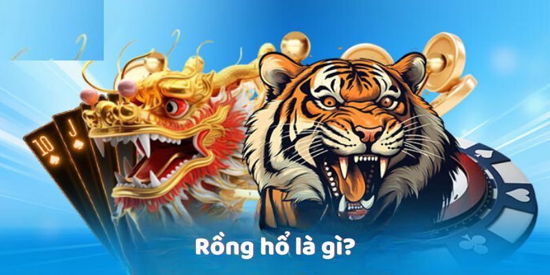 Rồng hổ là gì?