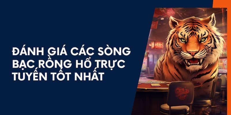 Trải nghiệm rồng hổ chất lượng cao tại Asiagaming